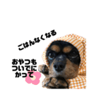 ずずずんだもち（個別スタンプ：25）