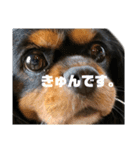 ずずずんだもち（個別スタンプ：32）