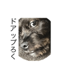 ろくのLINEスタンプ 第二弾（個別スタンプ：7）