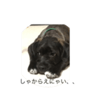 ろくのLINEスタンプ 第二弾（個別スタンプ：8）