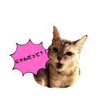 ミラクルみるちゃん（個別スタンプ：1）