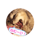 ミラクルみるちゃん（個別スタンプ：5）