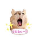 ミラクルみるちゃん（個別スタンプ：7）