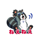 アライグマのエル（個別スタンプ：20）