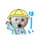 cocoいつも元気ワン（個別スタンプ：2）