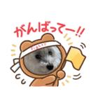 cocoいつも元気ワン（個別スタンプ：4）