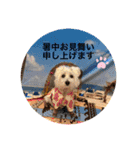 cocoいつも元気ワン（個別スタンプ：8）