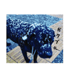 ラブラドール·ポインター（個別スタンプ：6）