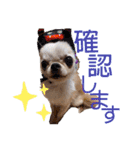 とびきりかわいい被り物達（個別スタンプ：3）