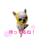 とびきりかわいい被り物達（個別スタンプ：7）