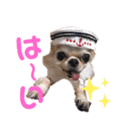 とびきりかわいい被り物達（個別スタンプ：15）