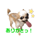 とびきりかわいい被り物達（個別スタンプ：26）