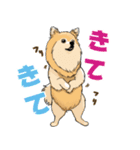 ぽめぽめ犬1（個別スタンプ：10）