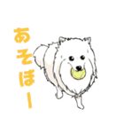 ぽめぽめ犬1（個別スタンプ：16）