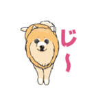 ぽめぽめ犬1（個別スタンプ：17）