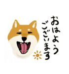 しば犬 毎日スタンプ（個別スタンプ：1）