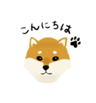 しば犬 毎日スタンプ（個別スタンプ：2）