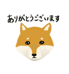 しば犬 毎日スタンプ（個別スタンプ：5）