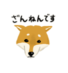 しば犬 毎日スタンプ（個別スタンプ：10）