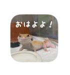 せぶんちゃん！（個別スタンプ：1）