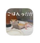 せぶんちゃん！（個別スタンプ：2）