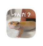 せぶんちゃん！（個別スタンプ：3）