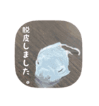 せぶんちゃん！（個別スタンプ：5）
