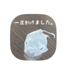 せぶんちゃん！（個別スタンプ：6）
