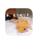 せぶんちゃん！（個別スタンプ：9）