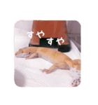 せぶんちゃん！（個別スタンプ：10）
