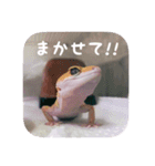 せぶんちゃん！（個別スタンプ：14）