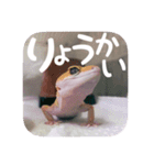 せぶんちゃん！（個別スタンプ：15）