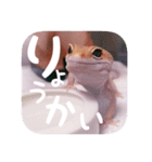 せぶんちゃん！（個別スタンプ：16）