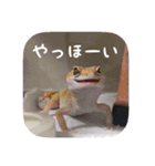 せぶんちゃん！（個別スタンプ：17）