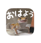 せぶんちゃん！（個別スタンプ：18）