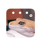 せぶんちゃん！（個別スタンプ：21）