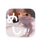 せぶんちゃん！（個別スタンプ：23）