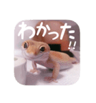 せぶんちゃん！（個別スタンプ：25）