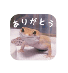 せぶんちゃん！（個別スタンプ：26）
