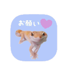 せぶんちゃん！（個別スタンプ：29）