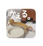 せぶんちゃん！（個別スタンプ：31）