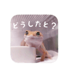 せぶんちゃん！（個別スタンプ：32）