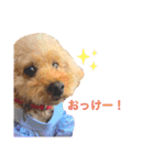 ここさんこれくしょん3（個別スタンプ：5）