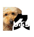 ここさんこれくしょん3（個別スタンプ：10）