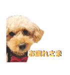 ここさんこれくしょん3（個別スタンプ：13）