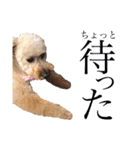 ここさんこれくしょん3（個別スタンプ：14）