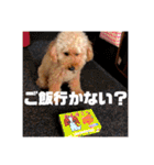 ここさんこれくしょん3（個別スタンプ：25）