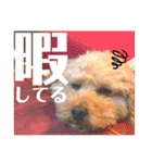 ここさんこれくしょん3（個別スタンプ：27）