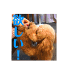 ここさんこれくしょん3（個別スタンプ：30）