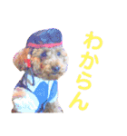 ここさんこれくしょん3（個別スタンプ：31）